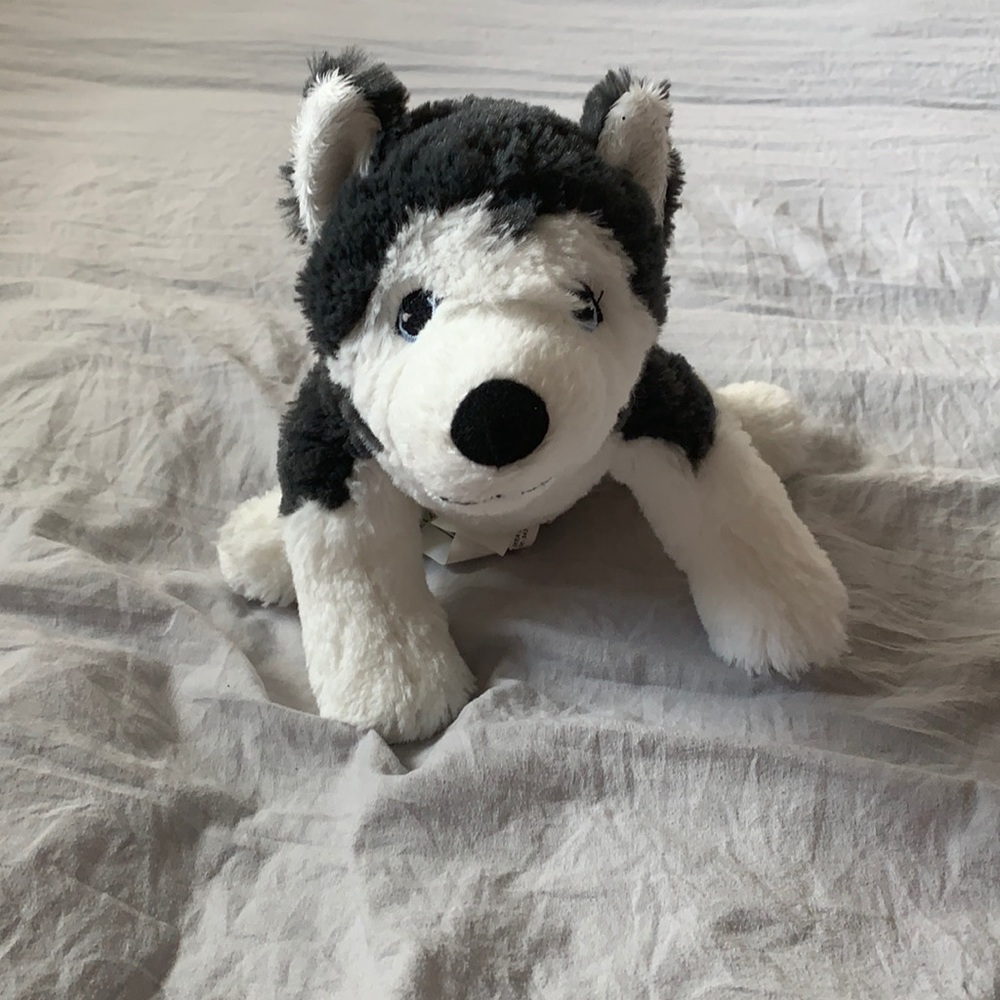 Dog stuffed animal
